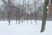 resIMG_20111214_0838.JPG